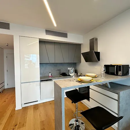 דירה Sky1 Modern Aptm On 7 Floor With Rooftop View ברטיסלאבה